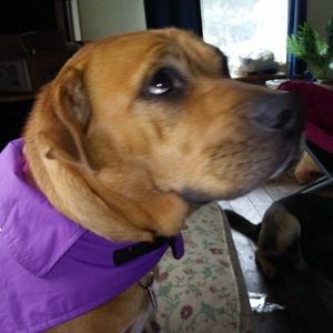 Meet your Posher, Mandy
