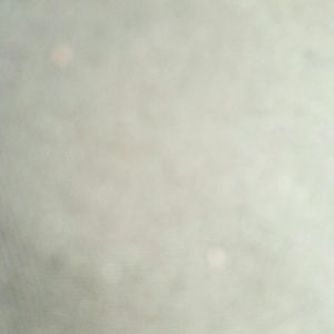 Meet your Posher, Misty