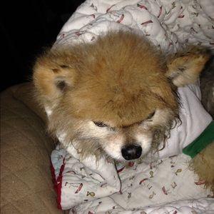 Meet your Posher, Jody