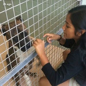 Meet your Posher, Brittany