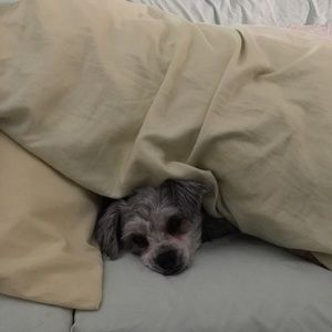 Meet your Posher, Marla