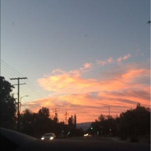 Meet your Posher, Bridget