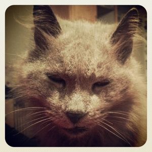 Meet your Posher, Sandra