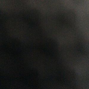 Meet your Posher, Minnie