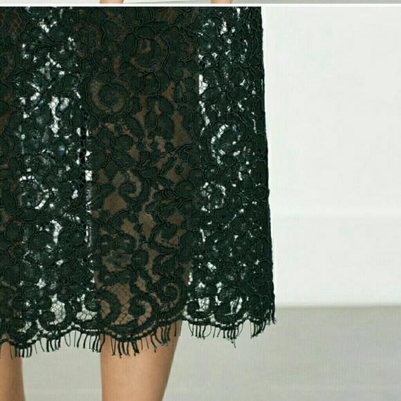Zara must have Lace Pencil Skirt - Picture 3 of 3