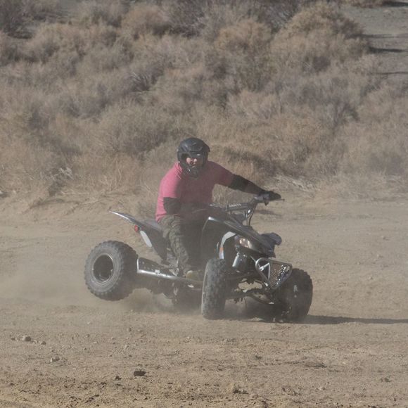 Meet your Posher, Andy - Picture 1 of 1