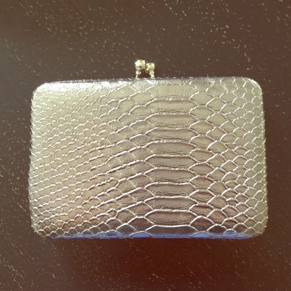 Pewter snake skinned clutch