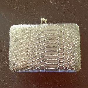 Pewter snake skinned clutch