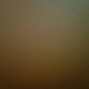 Meet your Posher, Elodie