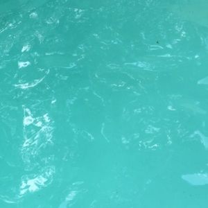 Meet your Posher, Alexandria