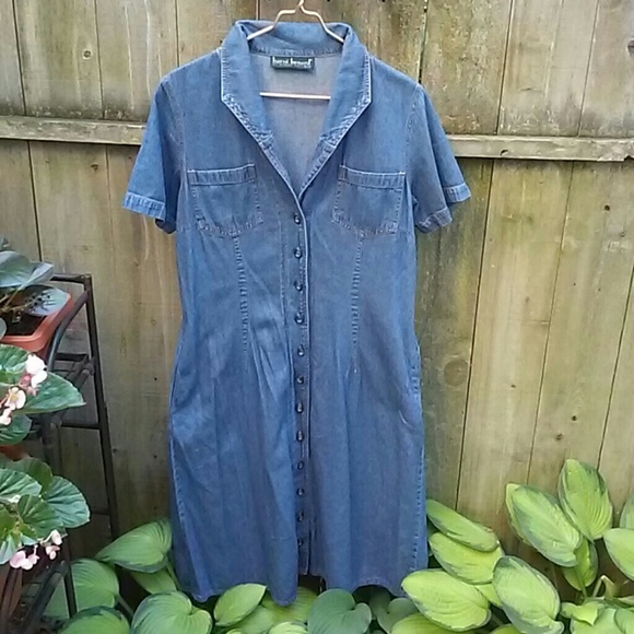 Harve Benard button front denim dress