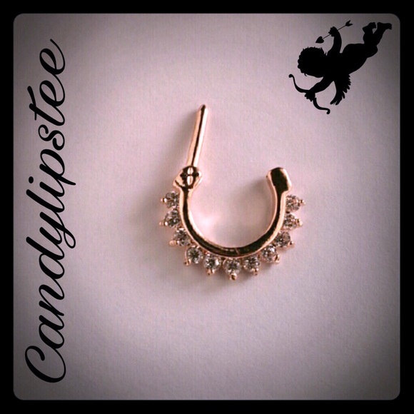 🍬💋🆕Beautiful Nose Ring🆕🍬💋 - Picture 1 of 3