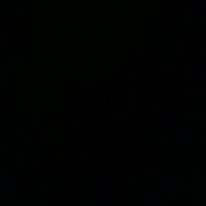 Meet your Posher, Mia