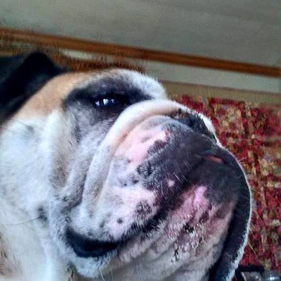 Meet your Posher, Kelly