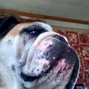 Meet your Posher, Kelly