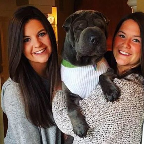 Meet your Posher, Chrissy