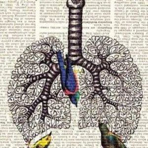 Meet your Posher, Claire