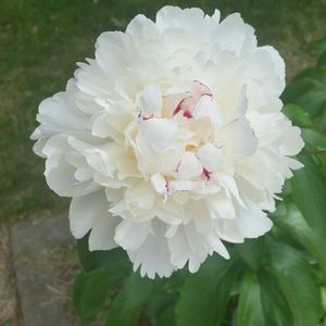 Meet your Posher, Becky