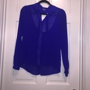 Royal blue, chiffon long sleeve button down