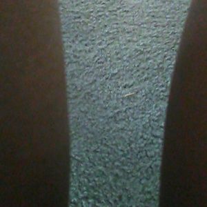 Meet your Posher, Josie