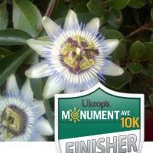 Meet your Posher, Dawnn