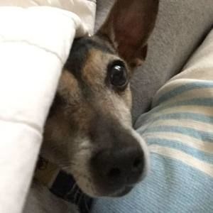 Meet your Posher, Diane