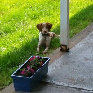 Meet your Posher, Beth