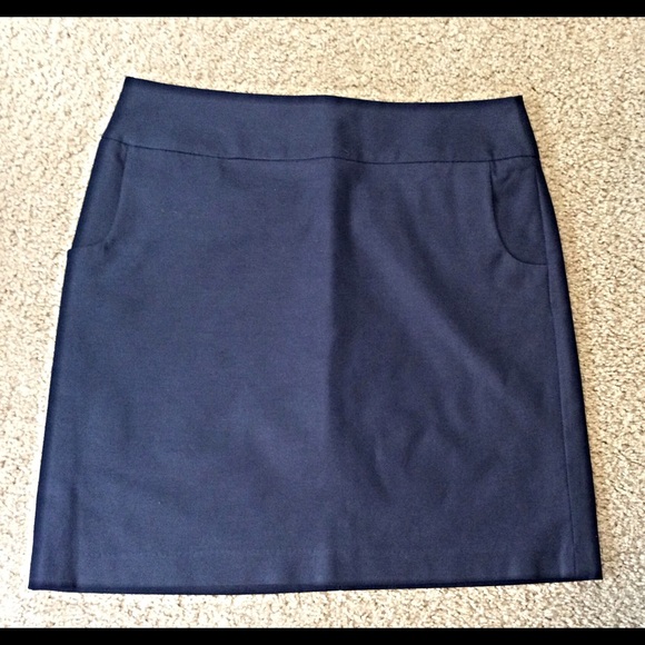 Flash Sale 20% Off ! Dalia Collection Navy Skirt