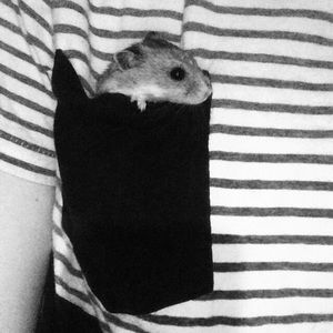 Meet your Posher, Lana