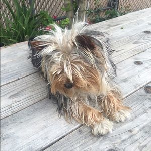 Meet your Posher, Erika