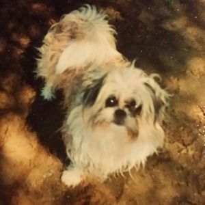 Meet your Posher, Debbie