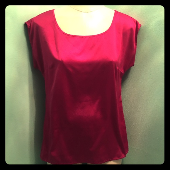 The Limited gorgeous silky top