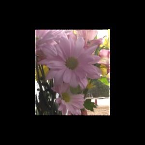 Meet your Posher, Sherry