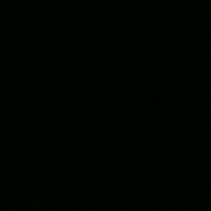 Meet your Posher, Lina