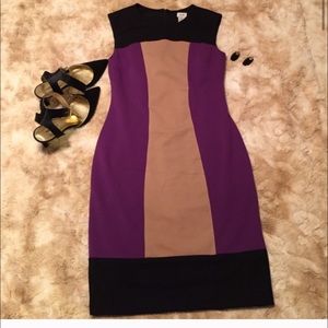 Cache Color Block Dress