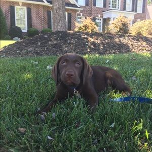 Meet your Posher, Anna