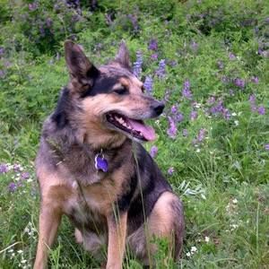 Meet your Posher, Lynne