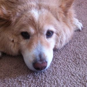 Meet your Posher, Jhun