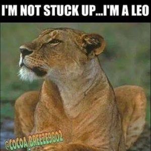 Meet your Posher, Raven