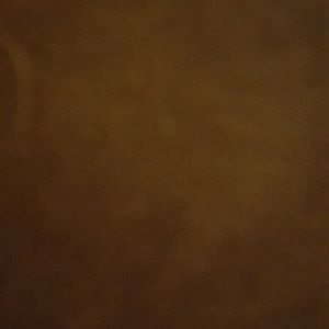 Meet your Posher, Dot