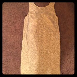 blue and white gap dress