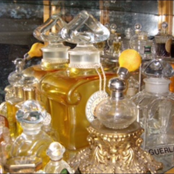 Meet your Posher, Tonee - Picture 3 of 4