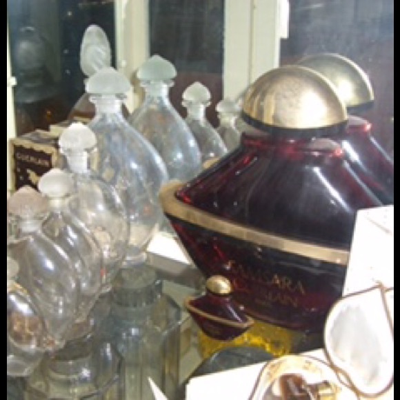 Meet your Posher, Tonee - Picture 4 of 4