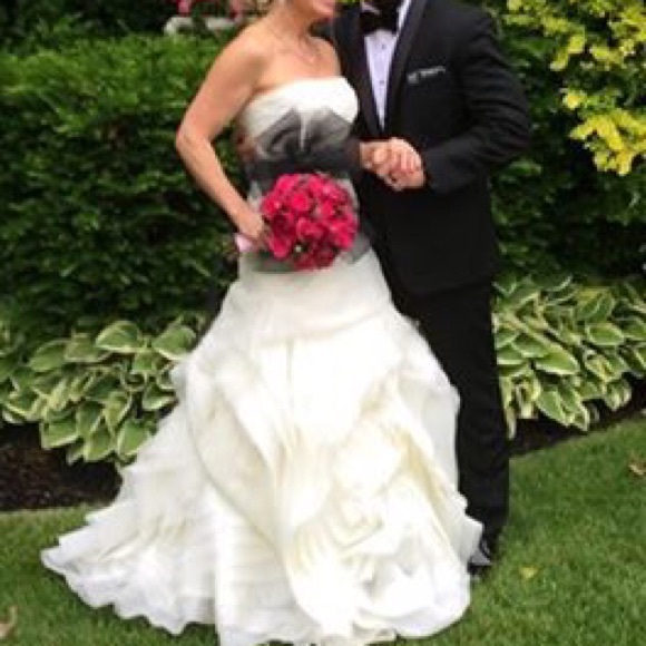 Vera wang from Davids Bridal wedding dress