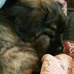 Meet your Posher, Luisa