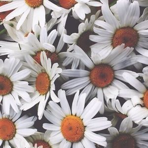 Meet your Posher, Kylie