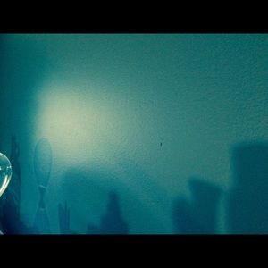 Meet your Posher, Addison