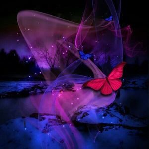 Meet your Posher, Saida