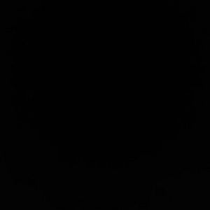 Meet your Posher, Nini