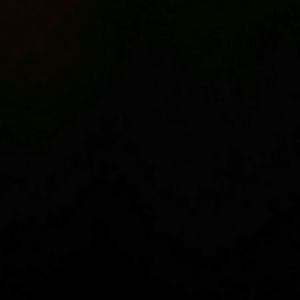 Meet your Posher, Vicky